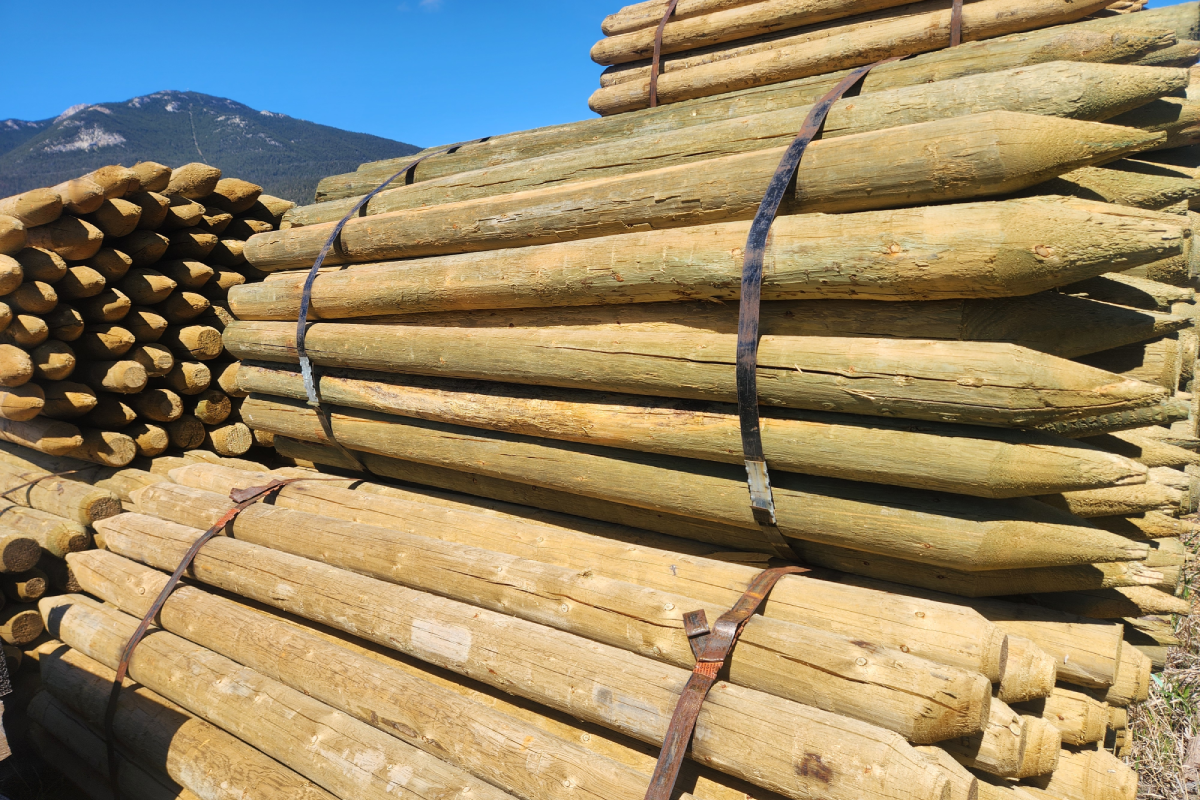 Lumber Stock Lumber Stock
